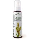 Hristina Přírodní bylinkový koncentrát na seboreu a vypadávání vlasů 100 ml – Zboží Dáma