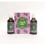 Ondřej Ullrich Lopuch větší tinktura 2 x 50 ml – Hledejceny.cz