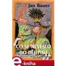 Co se nevešlo do dějepisu. Češi, Moravané a Slezané na cestě minulostí - Jan Bauer