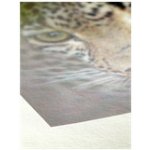 Hahnemühle 10643465 – Zboží Živě