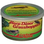 Lucky Reptile Herp Diner sarančata velká 35 g – Zbozi.Blesk.cz