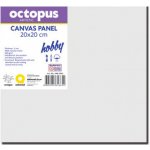 Octopus Hobby malířské plátno 280 g 20 x 20 cm – Zboží Mobilmania
