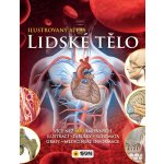 Lidské tělo - Ilustrovaný atlas – Hledejceny.cz