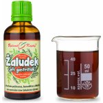 Bylinné kapky Žaludek tinktura 50 ml – Hledejceny.cz