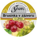 Švorc pečený čaj Brusinka v zázvoru 55 ml – Zboží Mobilmania