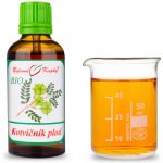Bylinné kapky BIO Kotvičník plod BIO tinktura 50 ml – Hledejceny.cz