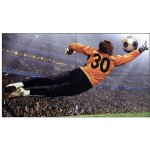 LG 49VL5G – Zbozi.Blesk.cz