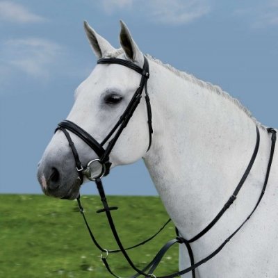 Waldhausen Martingal START tmavě hnědá – Zboží Mobilmania