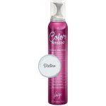 Vitality´s Color Mousse barevné pěnové tužidlo platino platinová 200 ml – Zbozi.Blesk.cz