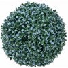 Květina Zimostráz - Buxus koule modrá, 22cm