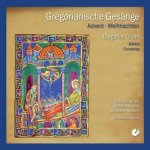 Gregorian Chant - Gregorianische Gesange - Advent Und Weihnachten CD – Hledejceny.cz