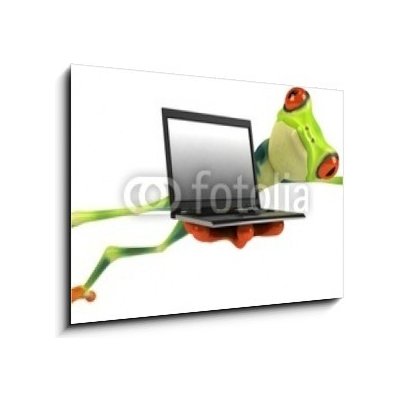 Obraz 1D - 100 x 70 cm - Grenouille animální srdcovka výhybky drn – Hledejceny.cz