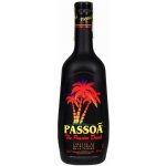 Passoã 17% 0,7 l (holá láhev) – Zboží Dáma