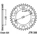JT Sprockets JTR 300-49 | Zboží Auto