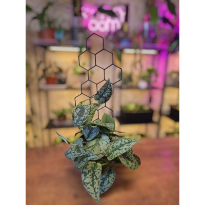 Dekorativní opora mřížka plast – Zboží Dáma