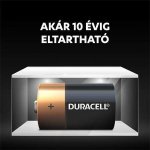 Duracell Basic D 2ks LR20/D/MN1300(K2) – Hledejceny.cz