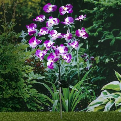 Haushalt international Solární zápich Orchidej 838923 – Zboží Mobilmania