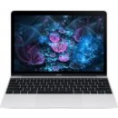 Apple MacBook MF855CZ/A