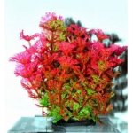 ATG Premium rostlina mini 8 až 14 cm 208 – Sleviste.cz