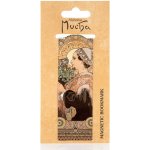 Magnetická záložka Alfons Mucha – Thistle – Hledejceny.cz