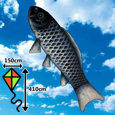 D&P Ryba čierna 4m – Hledejceny.cz