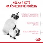 Royal Canin Mother & BabyCat 4 kg – Hledejceny.cz