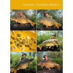 TB Baits Boosterované Boilie Corn 120 g - 20 mm – Zbozi.Blesk.cz