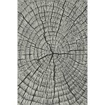 Karat Kolibri 11261-190 – Sleviste.cz