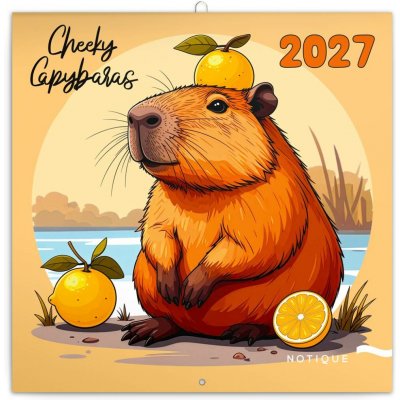NOTIQUE poznámkový Rozverné kapybary 30 × 30 cm 2027 – Sleviste.cz