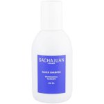 Sachajuan Silver Shampoo 250 ml – Zboží Dáma