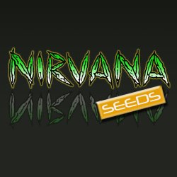 Nirvana Bubblelicious AUTO semena neobsahují THC 5 ks