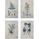 Bloomingville Plakát Green set 4 ks, 35x25,5 cm – Hledejceny.cz