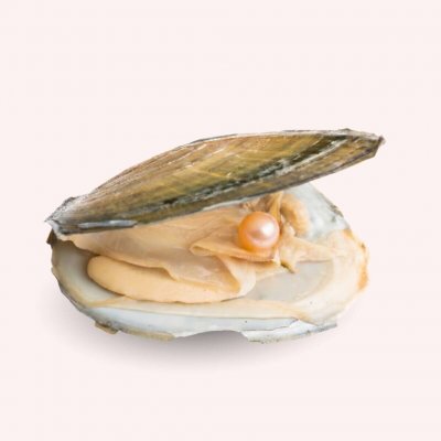 Pan Perla Mušle s pravou perlou 44 – Zbozi.Blesk.cz