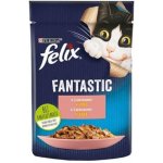 Felix Fantastic s lososem v želé 85 g – Hledejceny.cz