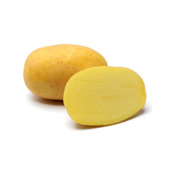 Sadba brambor AGRIA (pytel 25kg, sadbové brambory)