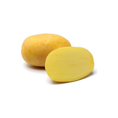 Sadba brambor AGRIA pytel 5 kg sadbové brambory – Hledejceny.cz