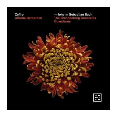 Johann Sebastian Bach - Brandenburgische Konzerte Nr.1-6 CD – Hledejceny.cz