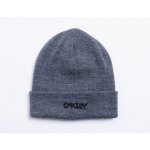 Oakley B1b Logo beanie New Athletic grey – Hledejceny.cz