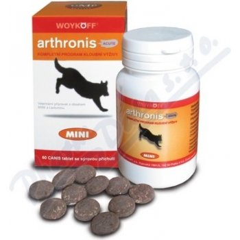 Arthronis ACUTE MINI 60 tbl