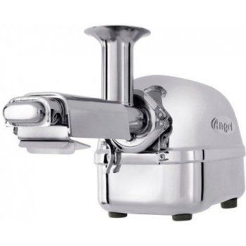 Angel Juicer 5500