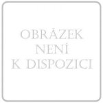 ASPIRIN PROTECT POR 100MG TBL ENT 98 – Zboží Dáma