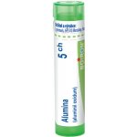 ALUMINA POR 5CH GRA 1X4G – Hledejceny.cz