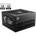 MSI MAG A750GL PCIE5 750W 306-7ZP8B11-CE0 – Zboží Živě