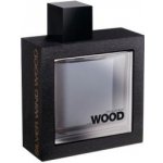 Dsquared2 He Wood Silver Wind Wood toaletní voda pánská 100 ml tester – Hledejceny.cz