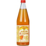 Moštárna Hostětín mošt jablko zázvor Bio 750 ml – Zboží Dáma