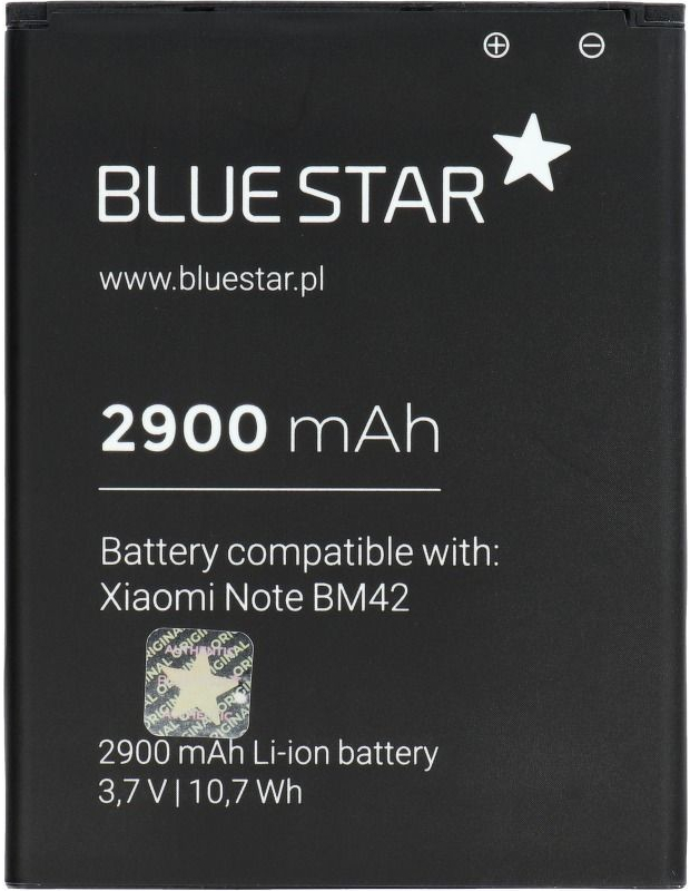 Blue Star BS-BM21 2900mAh