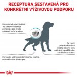 Royal Canin Veterinary Health Nutrition Dog Adult Anallergenic 3 kg – Sleviste.cz