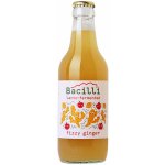 Optimistic BIO Bacilli fermentovaná limonáda Fizzy Ginger 330 ml – Zboží Mobilmania