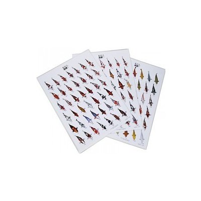 Plakáty KOI set 3 ks / 30 x 42 cm (A3) – Hledejceny.cz