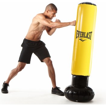 Everlast Power Tower